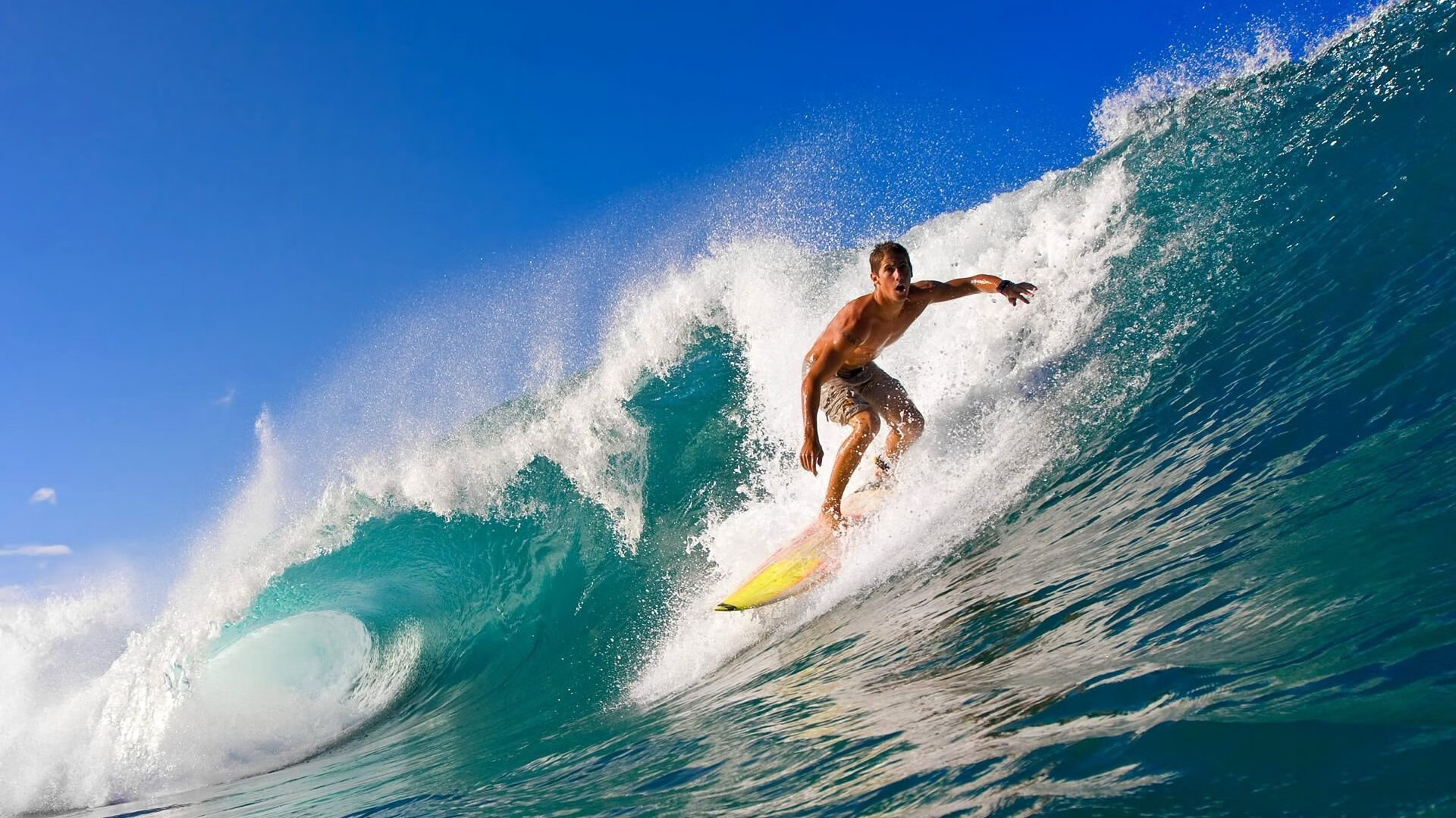 开云在线直播-2026世界杯之夜，弗拉霍维奇的节奏完全掌控